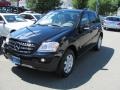 Black - ML 350 4Matic Photo No. 2