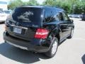 Black - ML 350 4Matic Photo No. 5