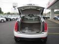 Platinum Ice Tricoat - SRX V6 Photo No. 9