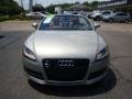 Sahara Silver Metallic - TT 3.2 quattro Roadster Photo No. 6