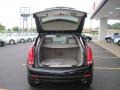 Black Raven - SRX V6 Photo No. 9