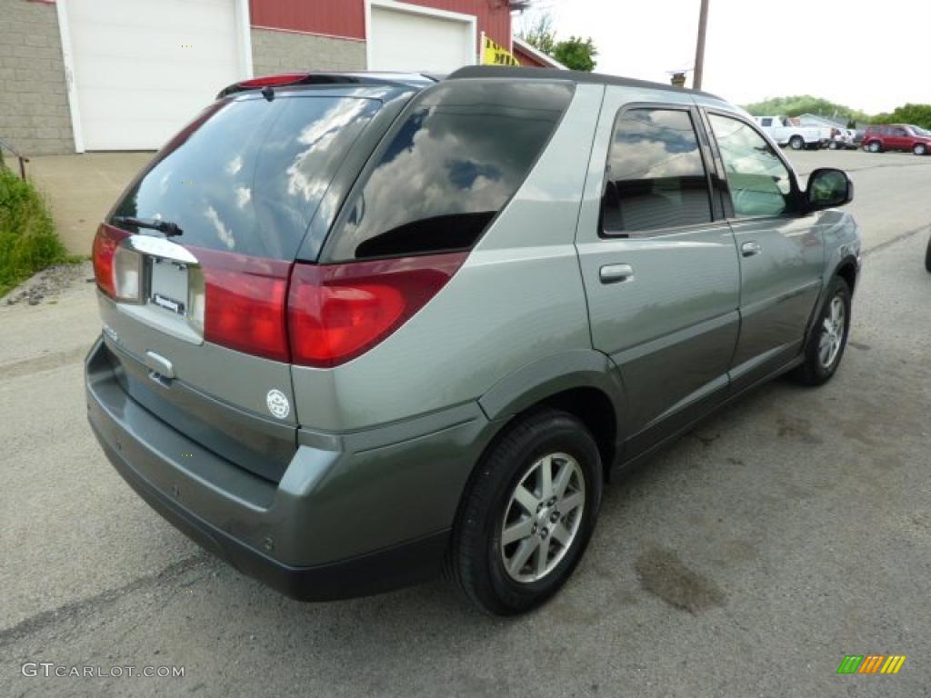 2004 Light Spiral Gray Metallic Buick Rendezvous Cx Awd