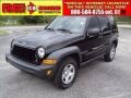 Black Clearcoat - Liberty Sport Photo No. 1