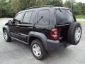 Black Clearcoat - Liberty Sport Photo No. 3