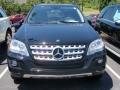 Black - ML 350 4Matic Photo No. 2