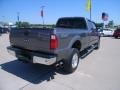 Sterling Grey Metallic - F350 Super Duty Lariat Crew Cab 4x4 Photo No. 6