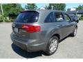 Nimbus Gray Metallic - MDX Technology Photo No. 3