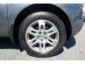 Nimbus Gray Metallic - MDX Technology Photo No. 17
