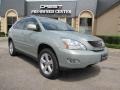 2008 Bamboo Pearl Lexus RX 350  photo #1