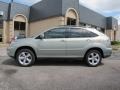 2008 Bamboo Pearl Lexus RX 350  photo #4