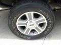 Redfire Metallic - F150 XLT SuperCrew Photo No. 15