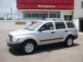 2005 Bright Silver Metallic Dodge Durango ST 4x4  photo #1