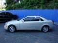 Light Platinum - CTS Sedan Photo No. 2