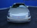 Light Platinum - CTS Sedan Photo No. 7