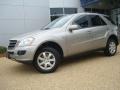 Pewter Metallic - ML 350 4Matic Photo No. 2
