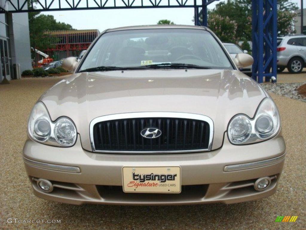 2005 Sonata LX V6 - Golden Beige / Beige photo #9