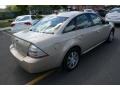 Dune Pearl Metallic - Taurus SEL Photo No. 4