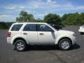 2010 White Suede Ford Escape XLS 4WD  photo #2