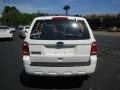 2010 White Suede Ford Escape XLS 4WD  photo #4