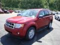 2010 Sangria Red Metallic Ford Escape XLT V6 4WD  photo #10