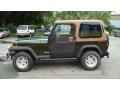 Moss Green Pearl - Wrangler Rio Grande 4x4 Photo No. 6