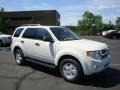 2010 White Suede Ford Escape XLT V6 4WD  photo #1