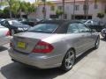 Pewter Metallic - CLK 63 AMG Cabriolet Photo No. 2