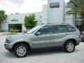 Sterling Grey Metallic - X5 3.0i Photo No. 2