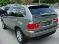 Sterling Grey Metallic - X5 3.0i Photo No. 3