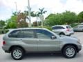 Sterling Grey Metallic - X5 3.0i Photo No. 7