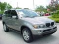 Sterling Grey Metallic - X5 3.0i Photo No. 8