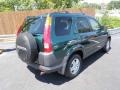 Clover Green Pearl - CR-V EX 4WD Photo No. 4