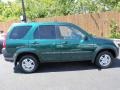 Clover Green Pearl - CR-V EX 4WD Photo No. 5