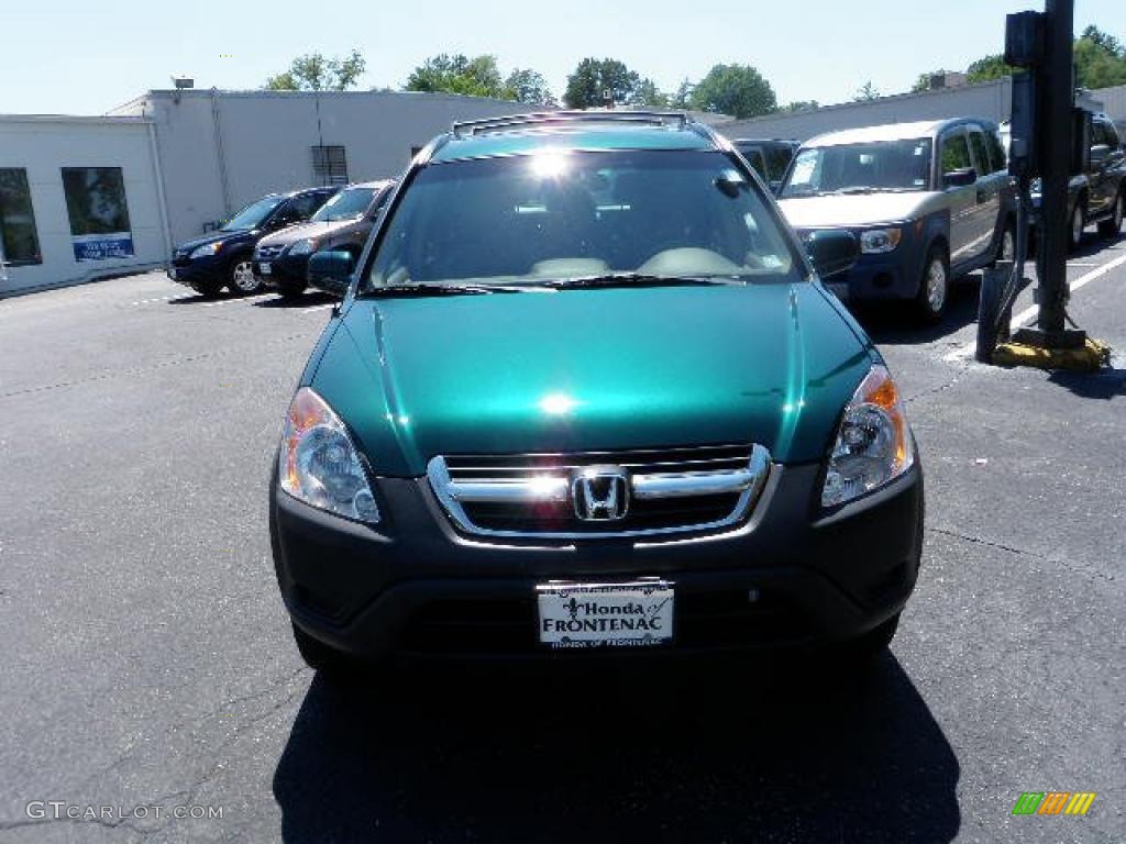 2003 CR-V EX 4WD - Clover Green Pearl / Saddle photo #7