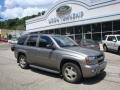 Graystone Metallic - TrailBlazer LT 4x4 Photo No. 1