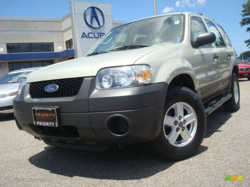 2005 Escape XLS - Gold Ash Metallic / Medium/Dark Pebble Beige photo #1