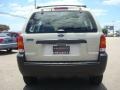 2005 Gold Ash Metallic Ford Escape XLS  photo #5