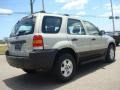 2005 Gold Ash Metallic Ford Escape XLS  photo #6