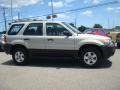 2005 Gold Ash Metallic Ford Escape XLS  photo #7