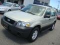 2005 Gold Ash Metallic Ford Escape XLS  photo #10