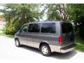 2002 Storm Gray Metallic GMC Safari SLT AWD  photo #5