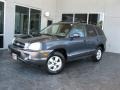 Pewter Gray - Santa Fe GLS 4WD Photo No. 1
