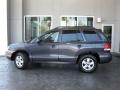 Pewter Gray - Santa Fe GLS 4WD Photo No. 2
