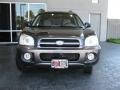 Pewter Gray - Santa Fe GLS 4WD Photo No. 3