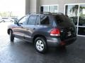 Pewter Gray - Santa Fe GLS 4WD Photo No. 5