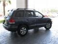 Pewter Gray - Santa Fe GLS 4WD Photo No. 6