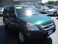 2004 Clover Green Pearl Honda CR-V EX 4WD  photo #3