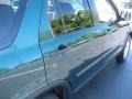 2004 Clover Green Pearl Honda CR-V EX 4WD  photo #5