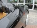 Nero (Black) - F430 Spider F1 Photo No. 12