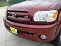 2005 Salsa Red Pearl Toyota Tundra Limited Double Cab  photo #12